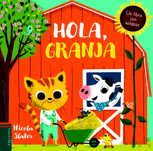 2 AÑOS +