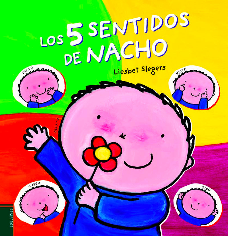 5 AÑOS +
