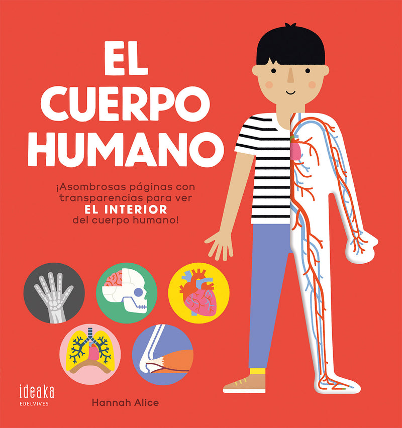 El Cuerpo Humano - Ideaka