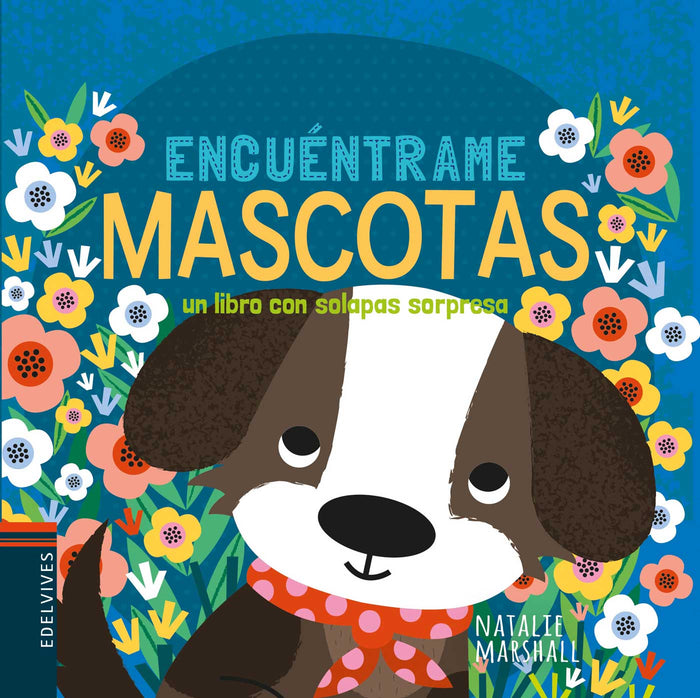 Encuéntrame Mascotas (Colección Encuéntrame)