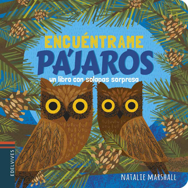 Encuéntrame Pájaros (Colección Encuéntrame)