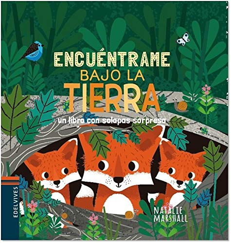 Encuéntrame Bajo La Tierra (Colección Encuéntrame)