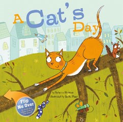 A Cat's Day